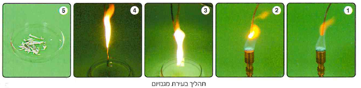 (בספר תמונה, היעזר במנחה)